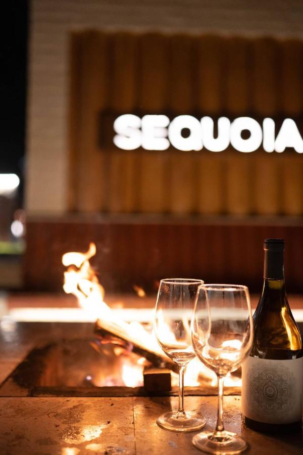 Roots Villa Sequoia Brassó Kültér fotó